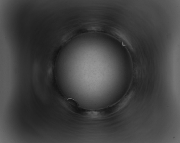 X0000099980265200806061529