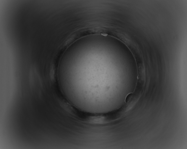 X0000099980266200806061529