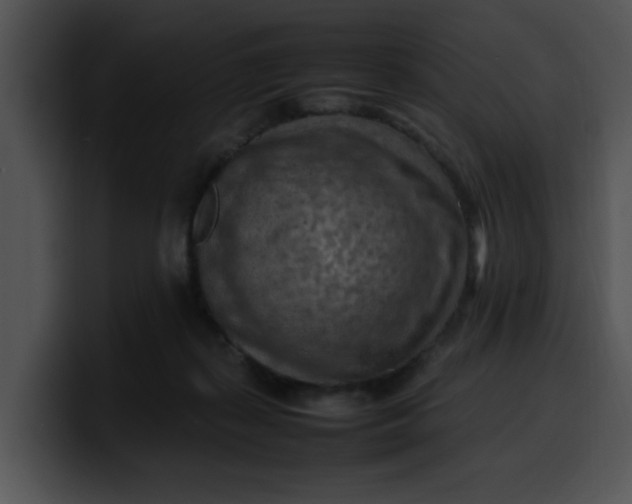 X0000099980267200806061529