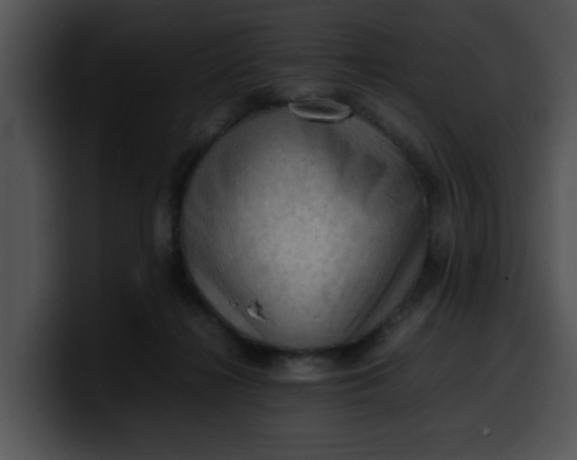 X0000099980268200806061529