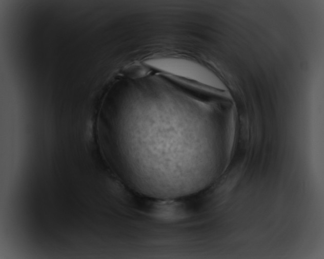 X0000099980269200806061529