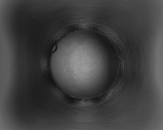 X0000099980270200806061529