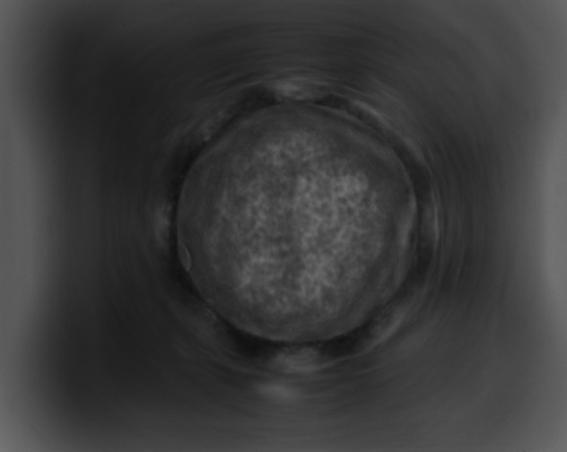 X0000099980271200806061529