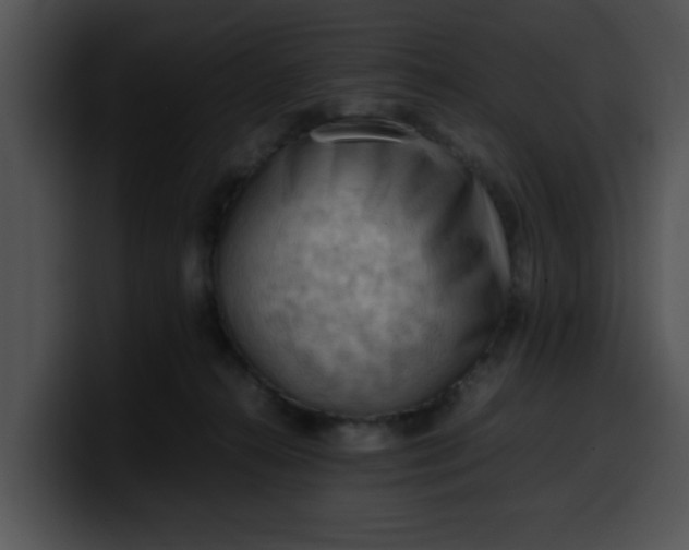 X0000099980272200806061529