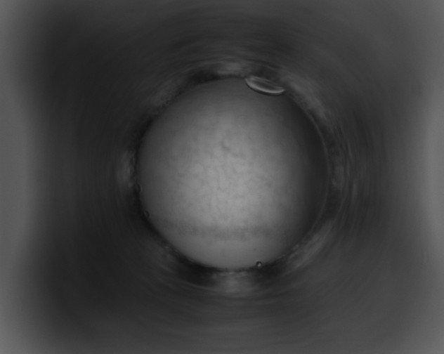 X0000099980273200806061529