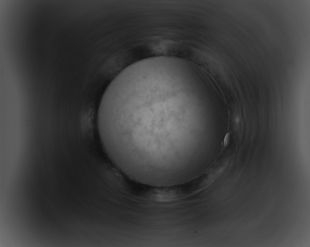 X0000099980275200806061530