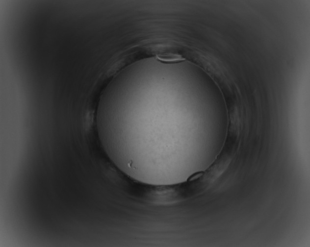 X0000099980278200806061530