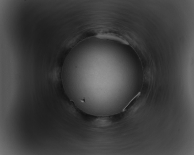 X0000099980280200806061530