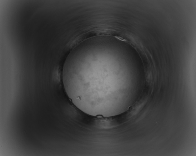 X0000099980282200806061530