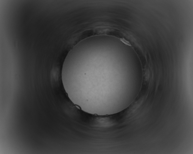 X0000099980283200806061530