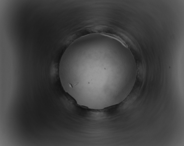 X0000099980284200806061530