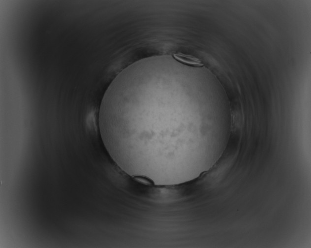 X0000099980286200806061530