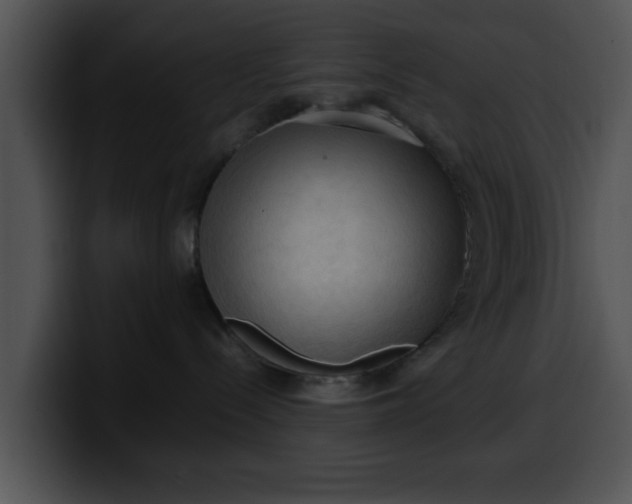 X0000099980288200806061530