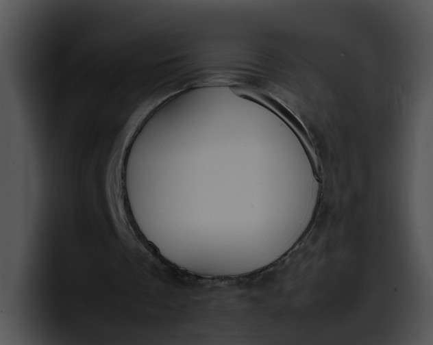 X0000099980289200806061529