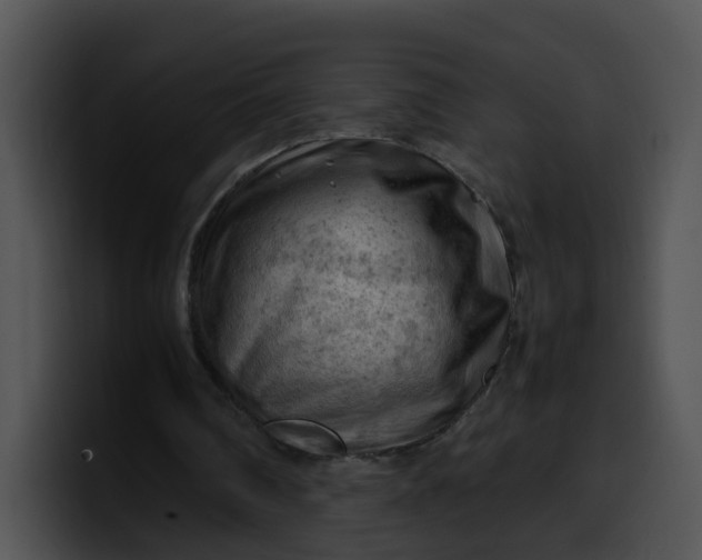 X0000099980290200806061529