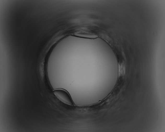 X0000099980291200806061529