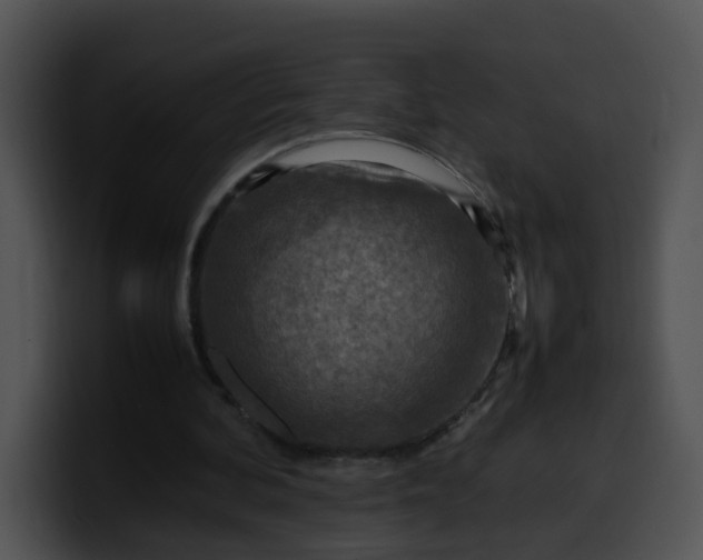 X0000099980292200806061529