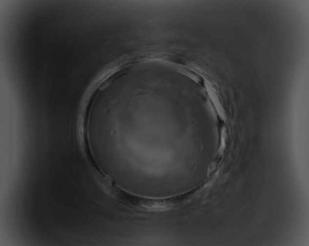 X0000099980293200806061529