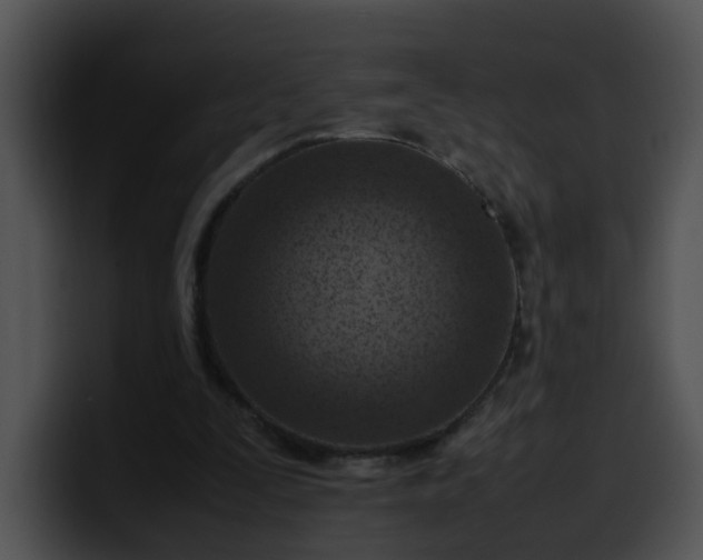 X0000099980295200806061529