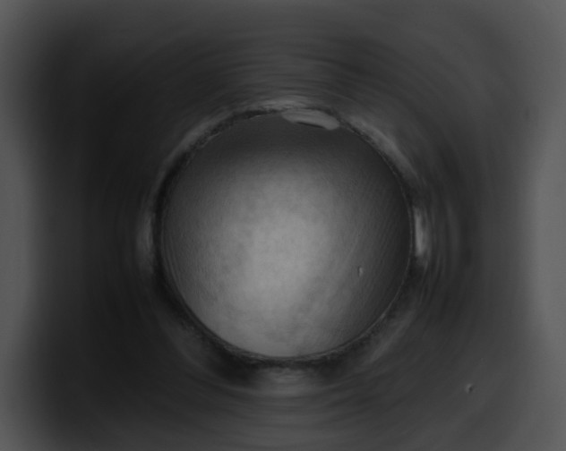 X0000099980300200806061529