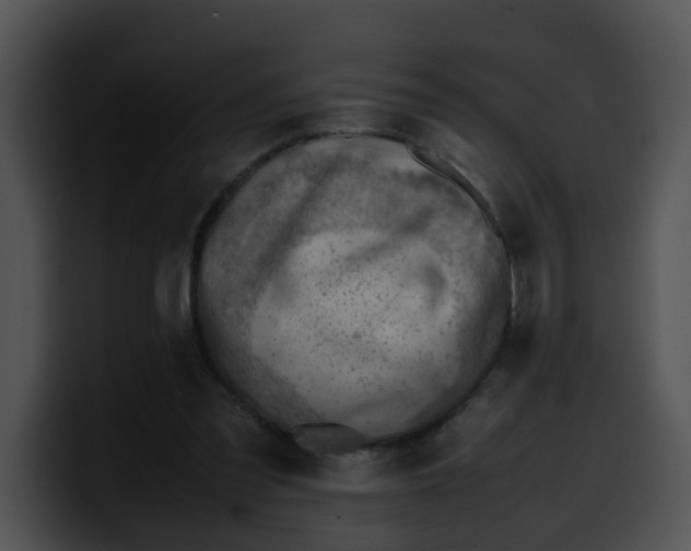 X0000099980301200806061529