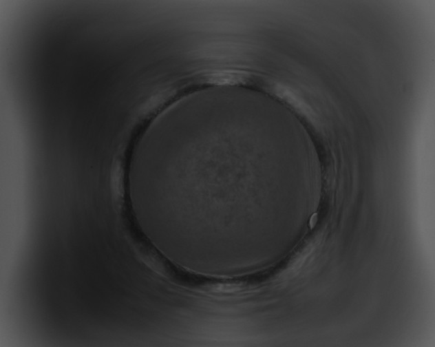 X0000099980303200806061529