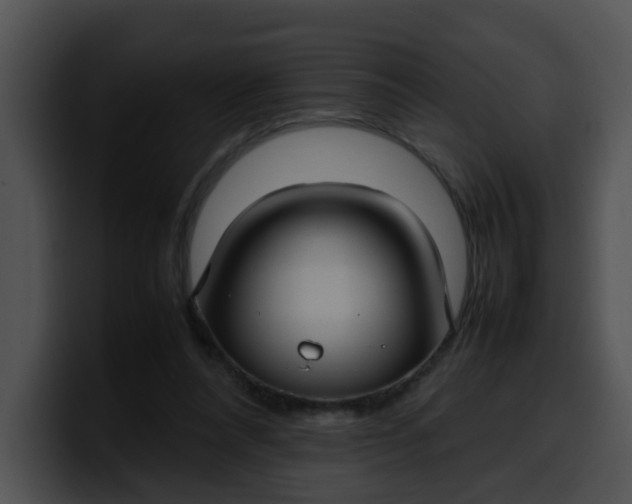 X0000099980304200806061529