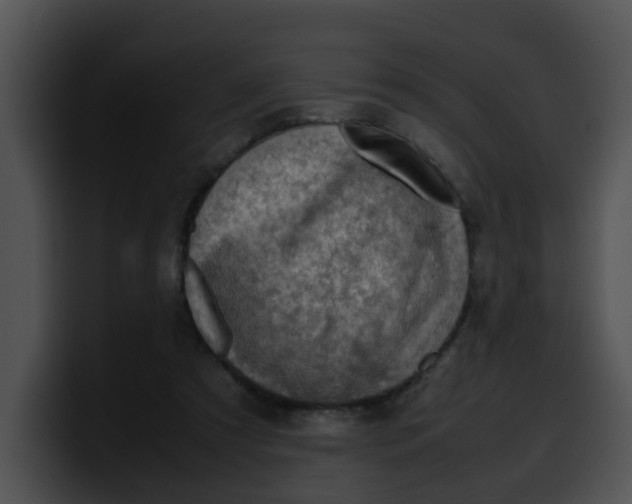 X0000099980305200806061529