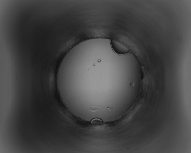 X0000099980306200806061529