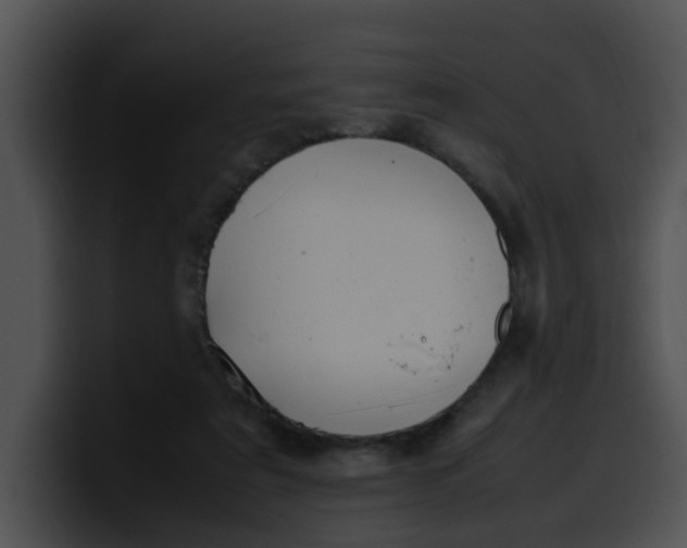 X0000099980307200806061529