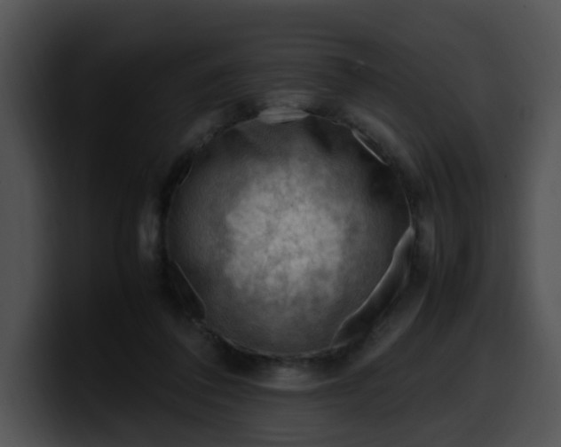 X0000099980308200806061529