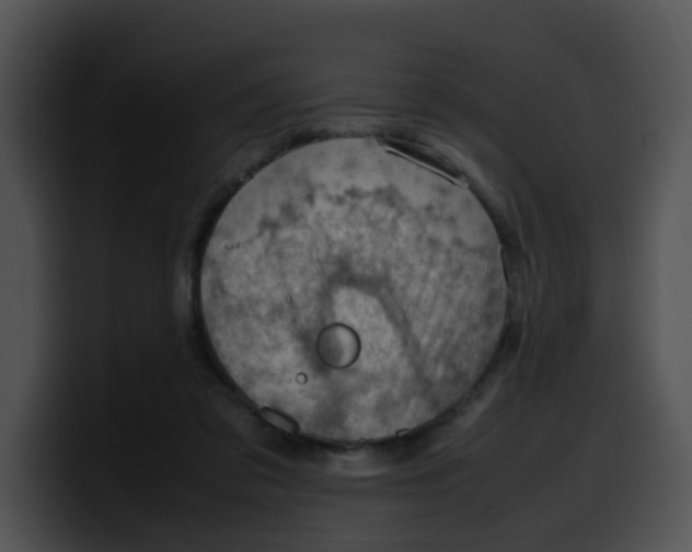 X0000099980309200806061529