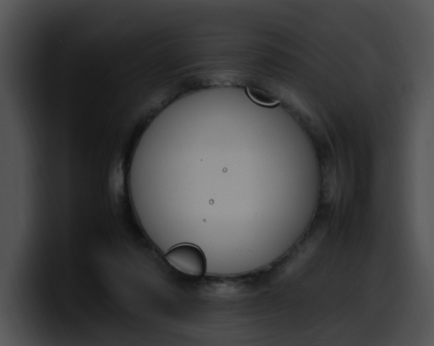 X0000099980310200806061529