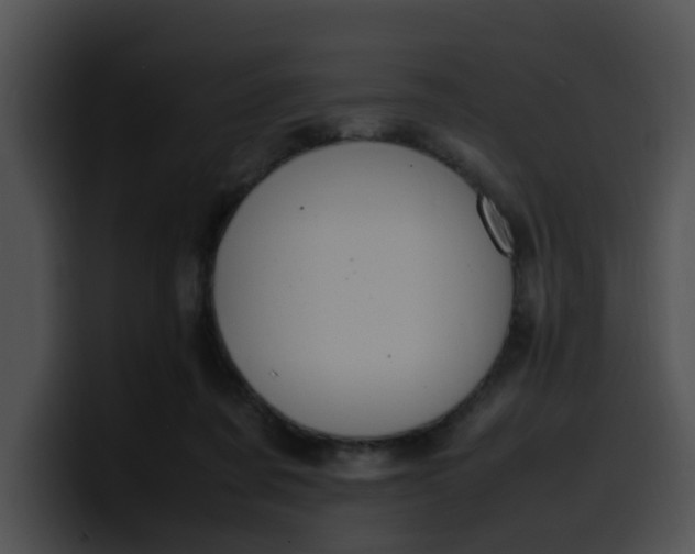 X0000099980311200806061529