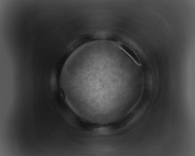 X0000099980312200806061529