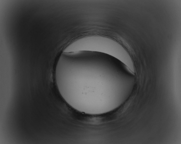 X0000099980313200806061529