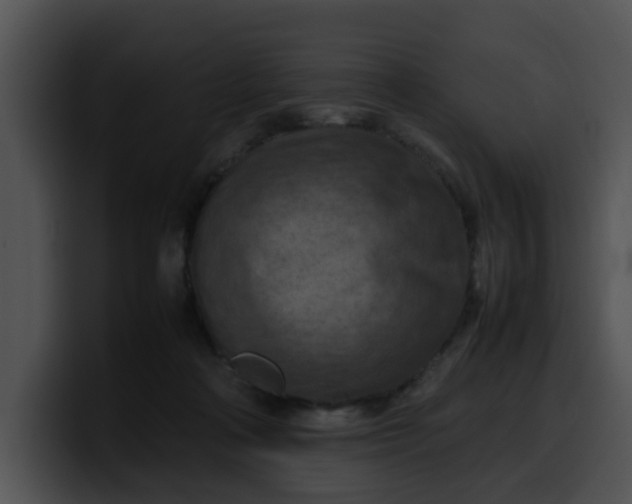 X0000099980314200806061529