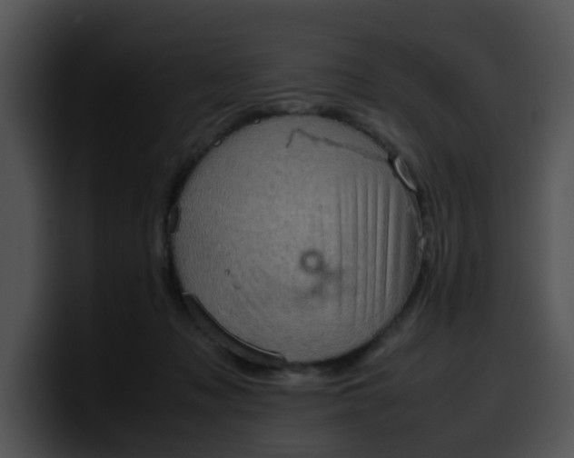 X0000099980317200806061529