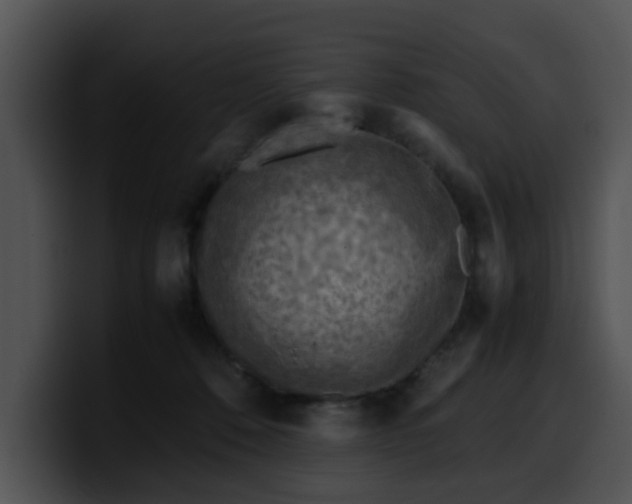 X0000099980320200806061529