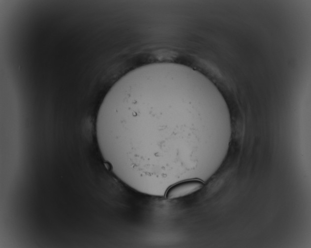 X0000099980321200806061529