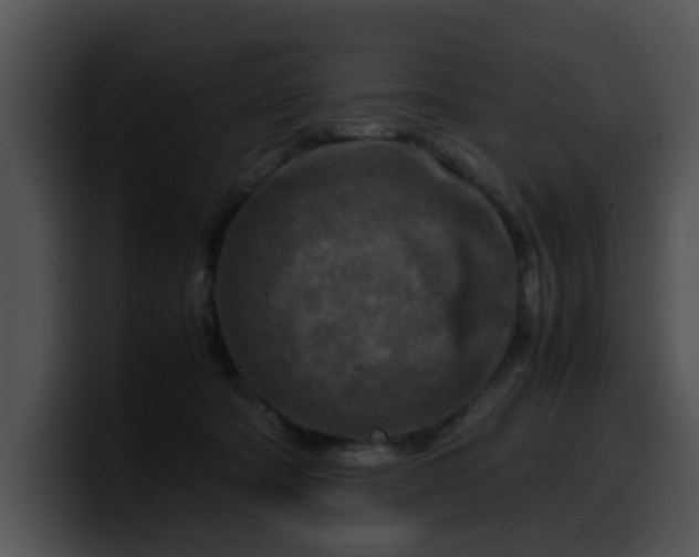 X0000099980322200806061529