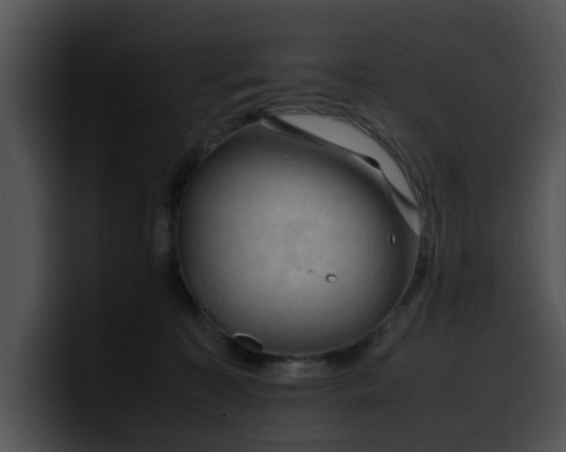 X0000099980323200806061529