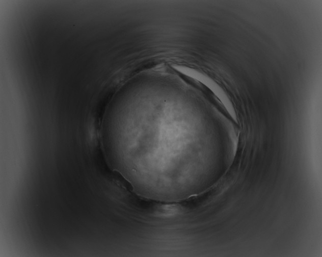 X0000099980324200806061529