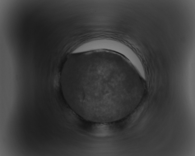 X0000099980325200806061529