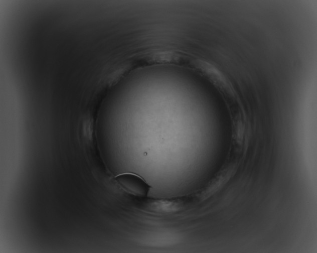 X0000099980326200806061529