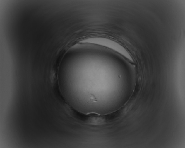 X0000099980327200806061529