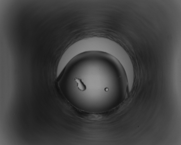 X0000099980328200806061529