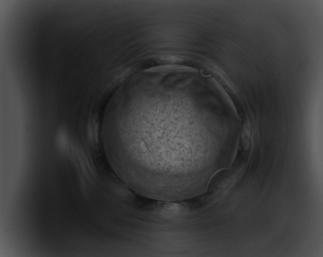 X0000099980330200806061529