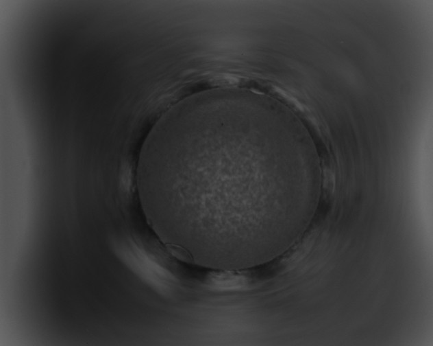 X0000099980331200806061529