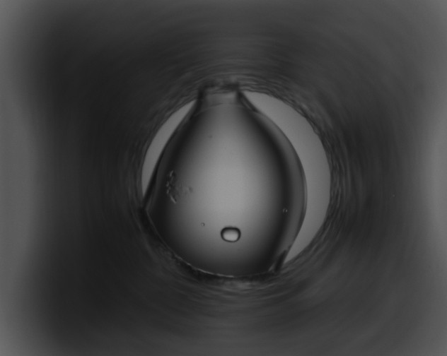 X0000099980332200806061528